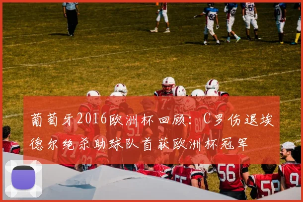 葡萄牙2016欧洲杯回顾：C罗伤退埃德尔绝杀助球队首获欧洲杯冠军