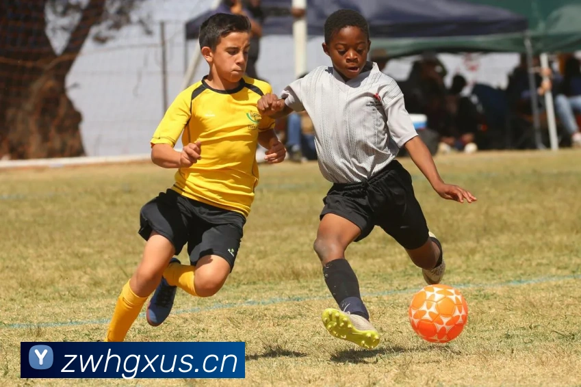 爱体育官网app下载平台生态图